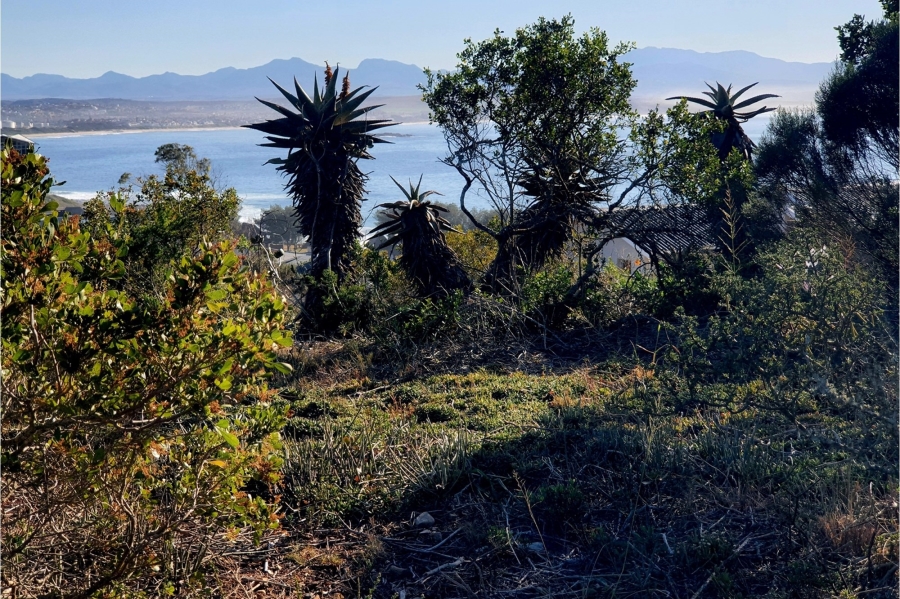 0 Bedroom Property for Sale in De Bakke Western Cape